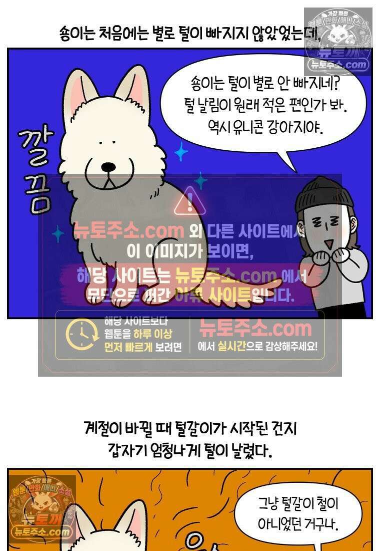 극한견주 시즌2 127화 청소와 빗질 2