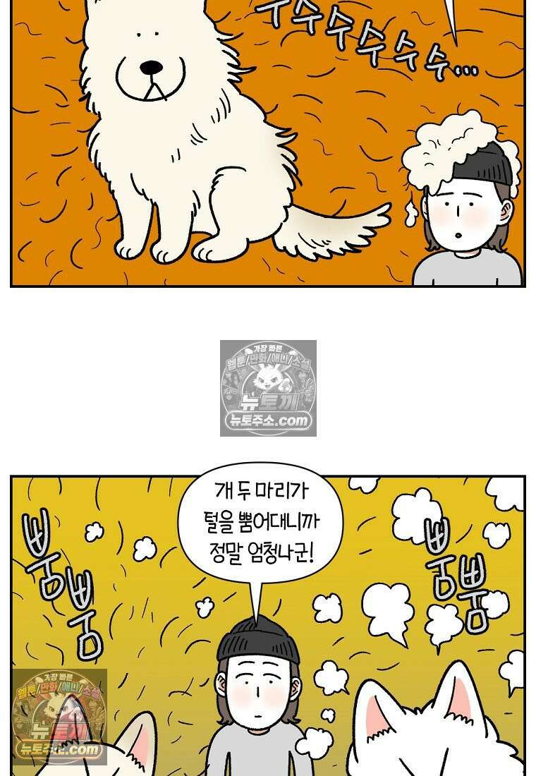 극한견주 시즌2 127화 청소와 빗질 3
