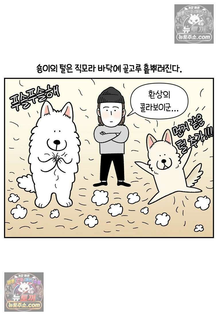 극한견주 시즌2 127화 청소와 빗질 6