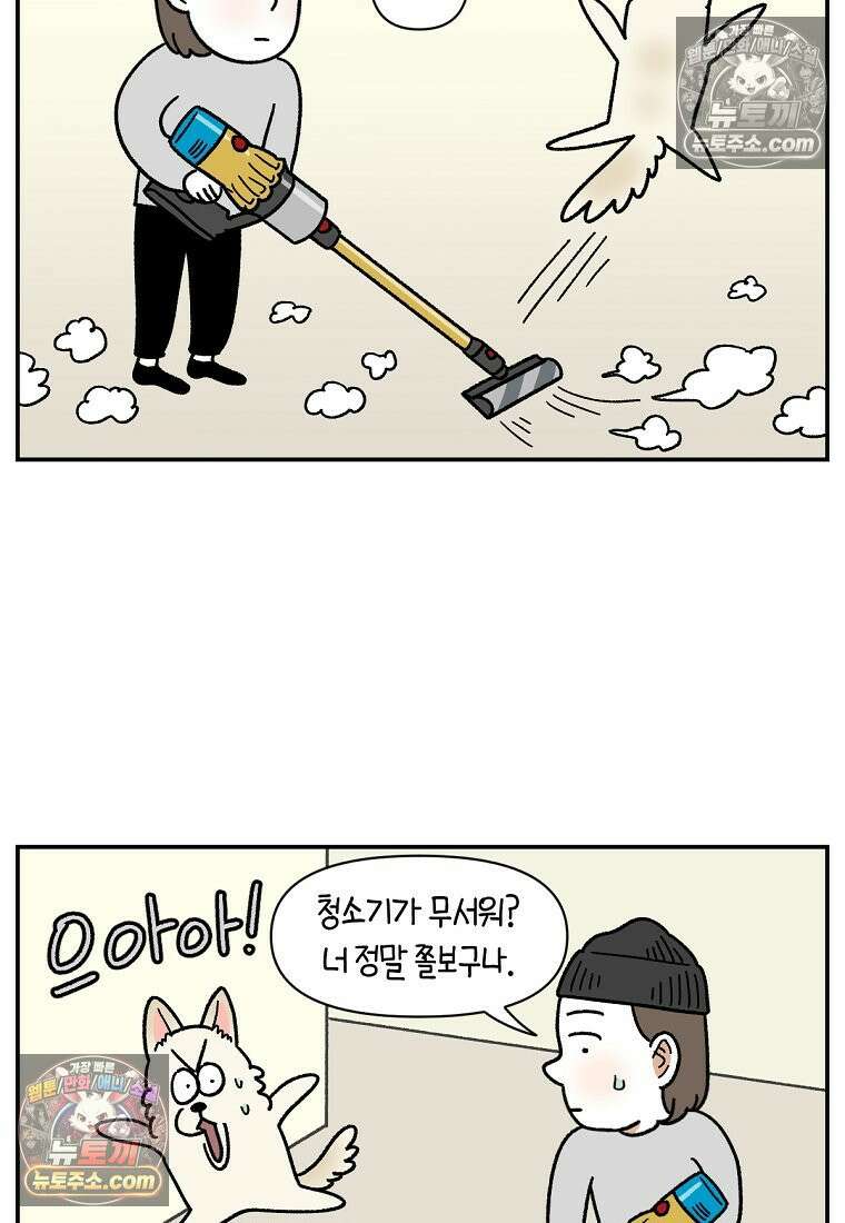극한견주 시즌2 127화 청소와 빗질 8