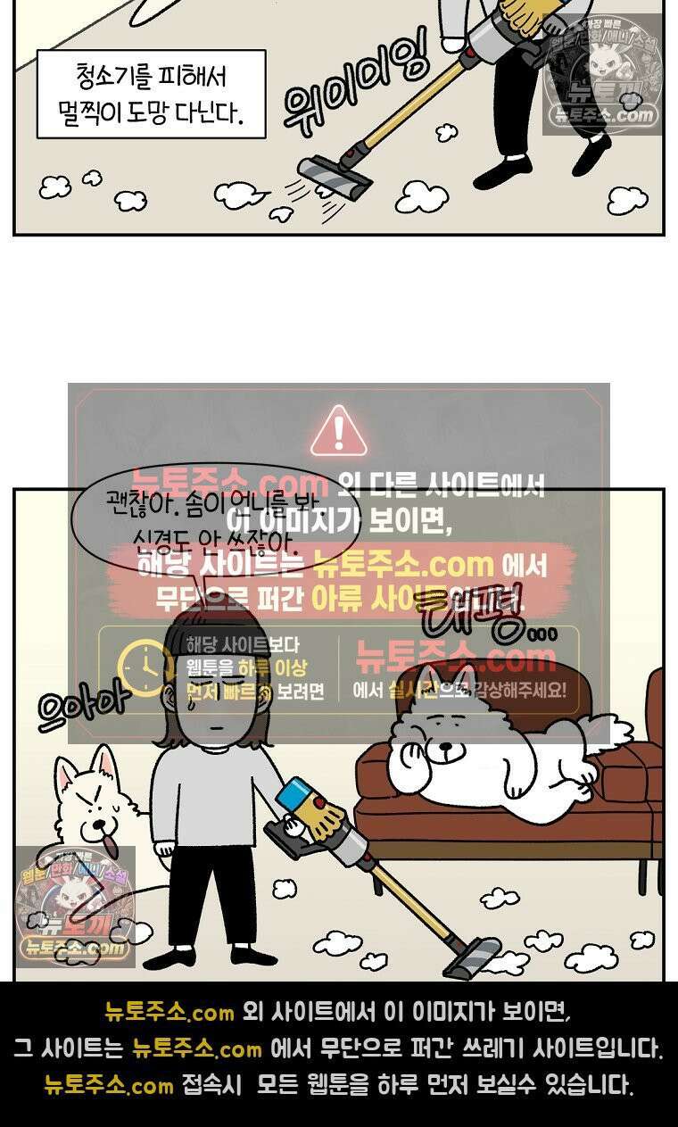 극한견주 시즌2 127화 청소와 빗질 9