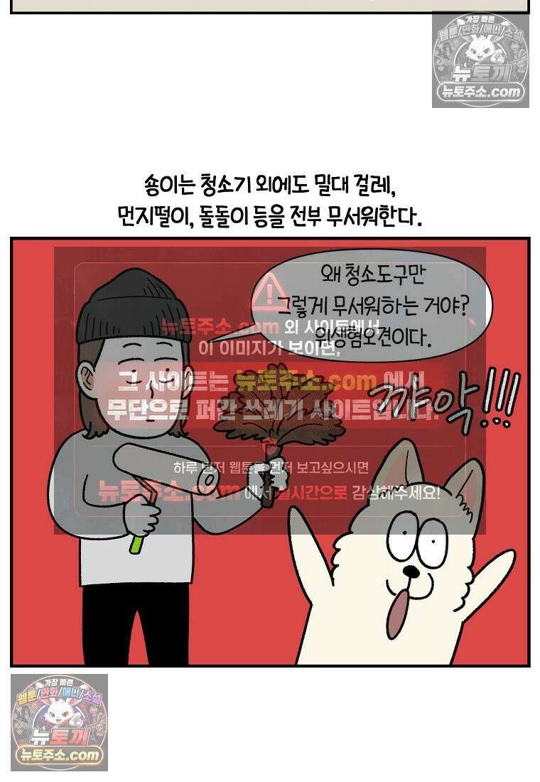 극한견주 시즌2 127화 청소와 빗질 10