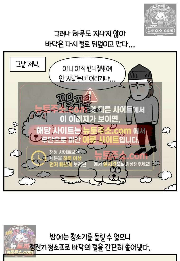 극한견주 시즌2 127화 청소와 빗질 15