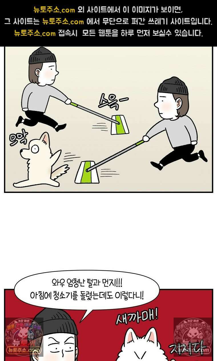 극한견주 시즌2 127화 청소와 빗질 16