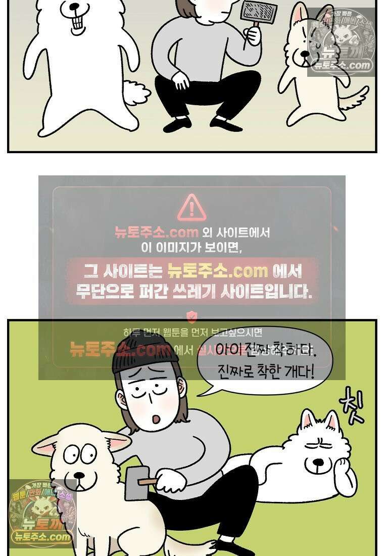 극한견주 시즌2 127화 청소와 빗질 20