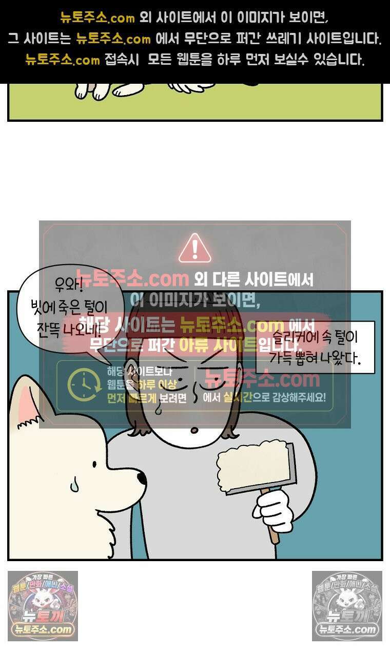 극한견주 시즌2 127화 청소와 빗질 21