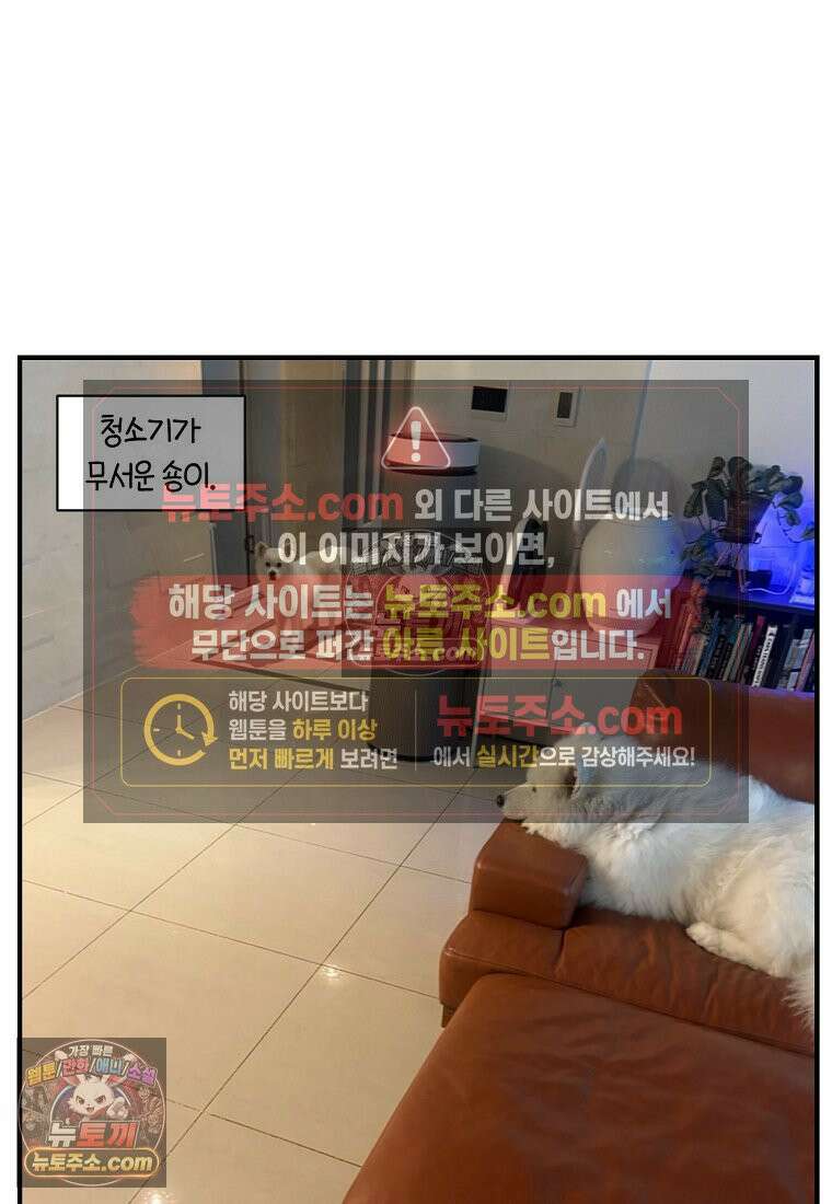 극한견주 시즌2 127화 청소와 빗질 25