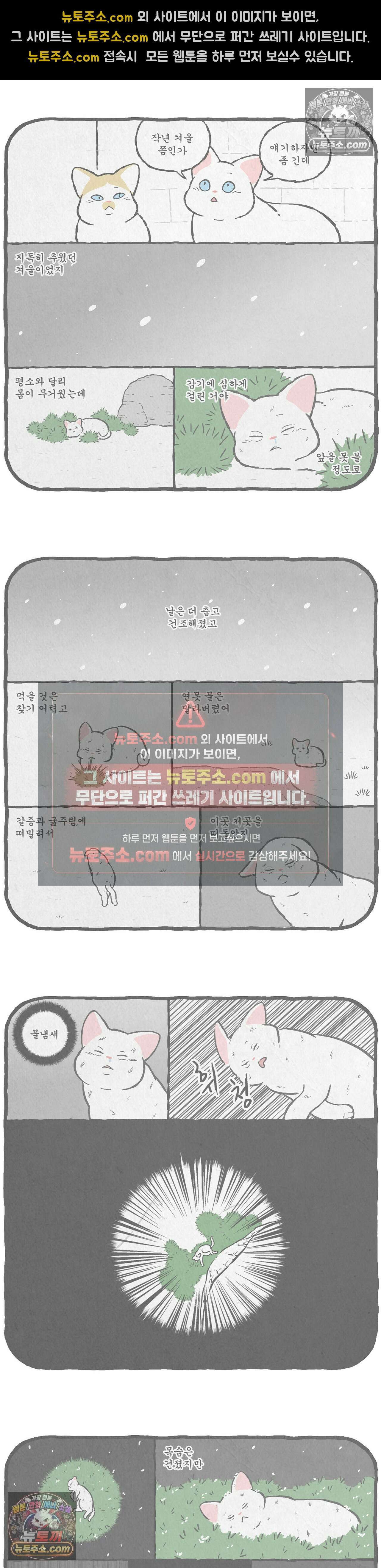 고로애옳 20화 2
