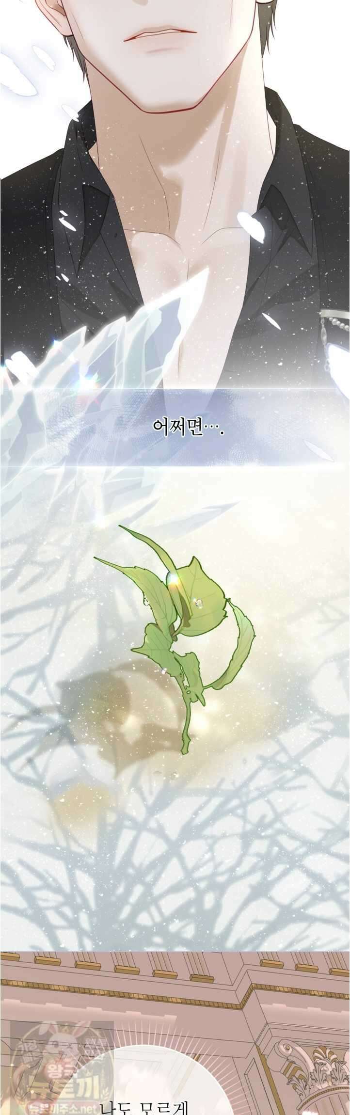 사랑받는 언니가 사라진 세계 120화(시즌3 완결) 74