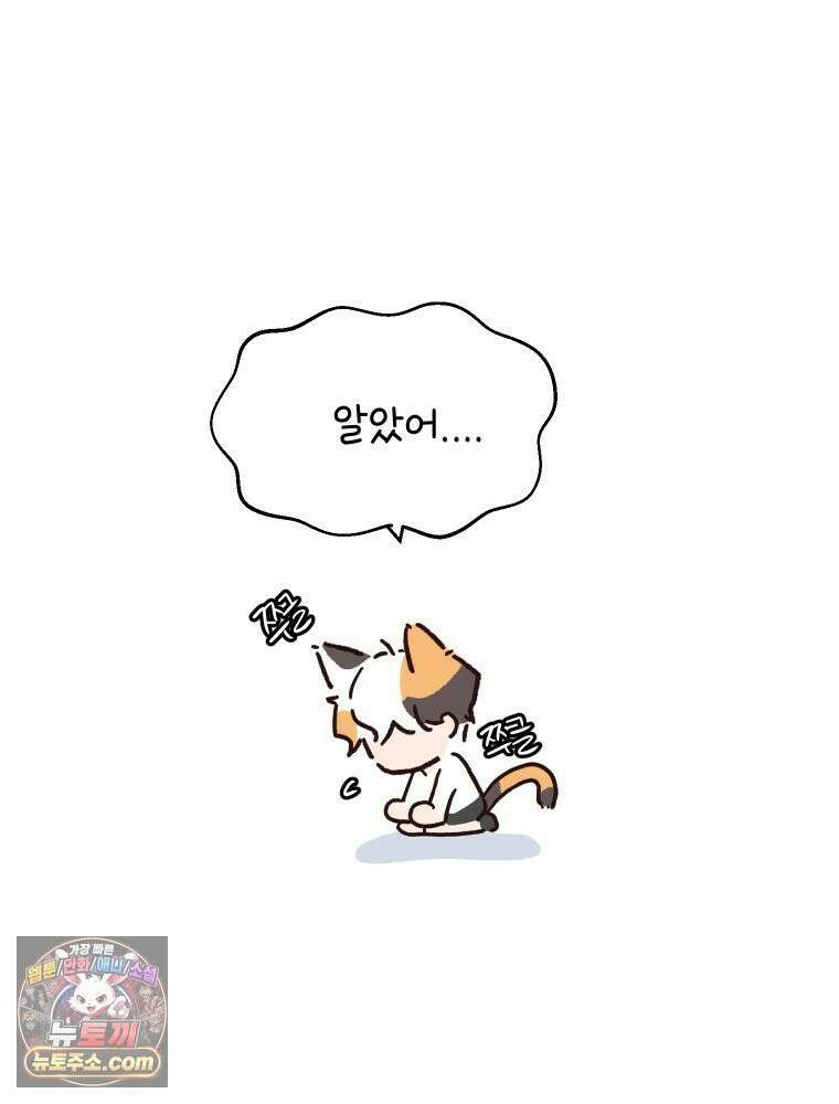 본업이 아이돌 덕후 8화 컴백 스포 6