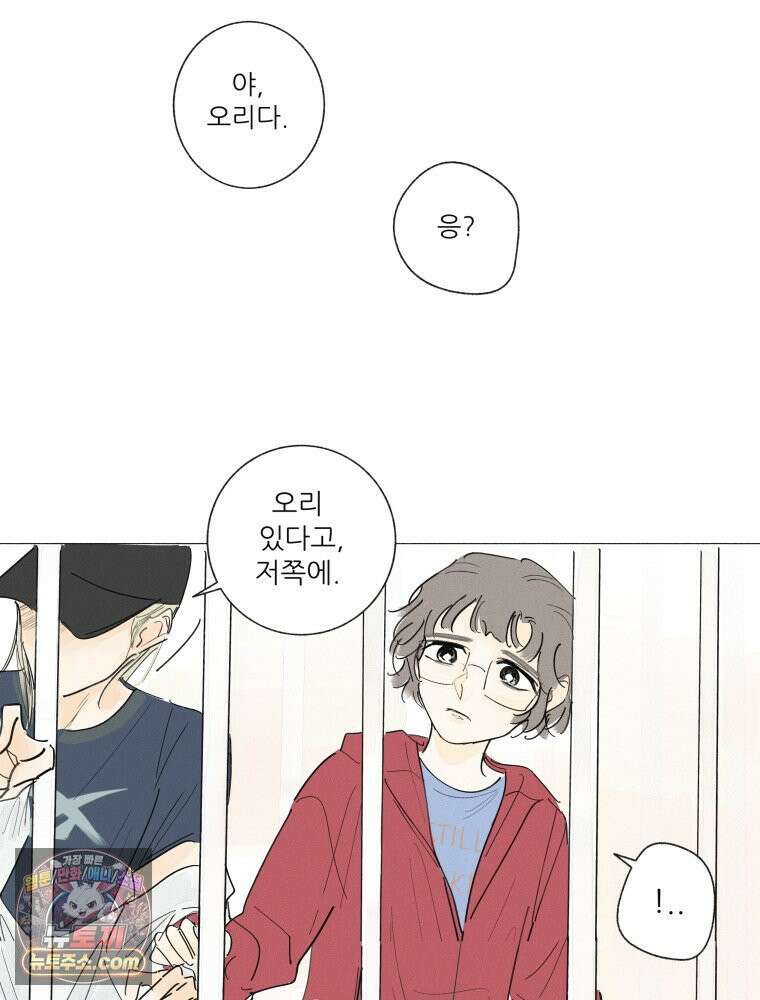 생각해볼게 ＃16． 오리가 있어 29