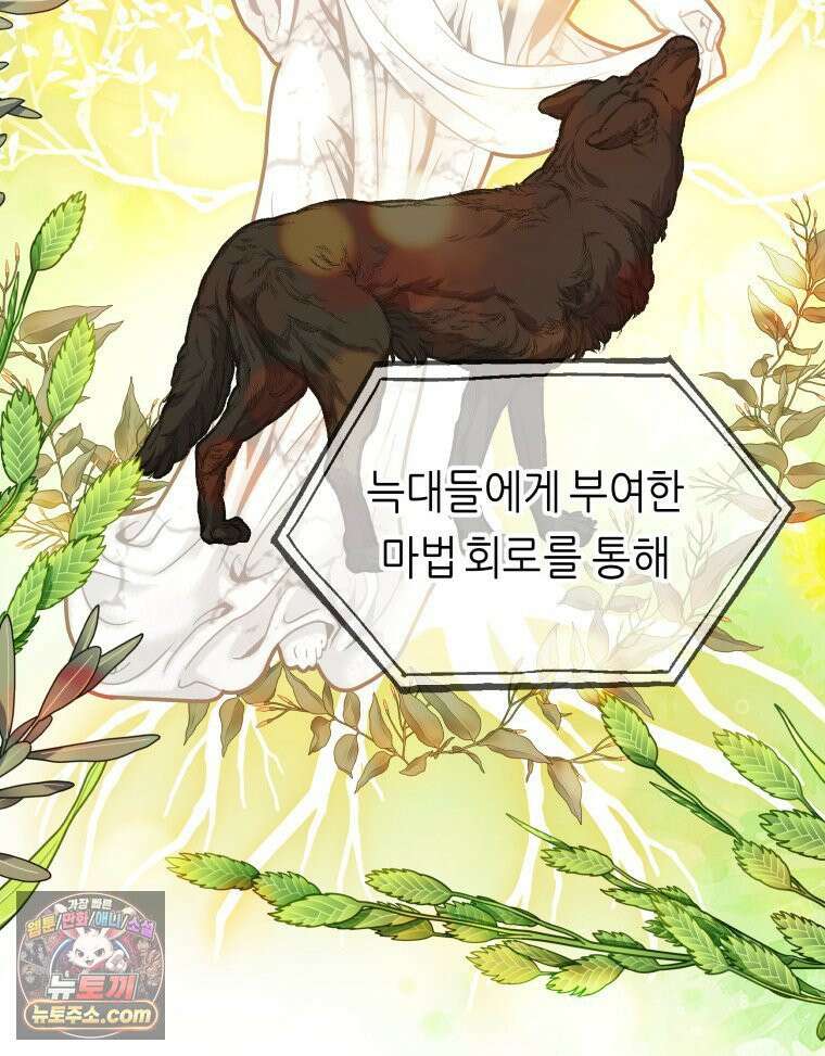 늑대 대공의 반려인간 61화 33