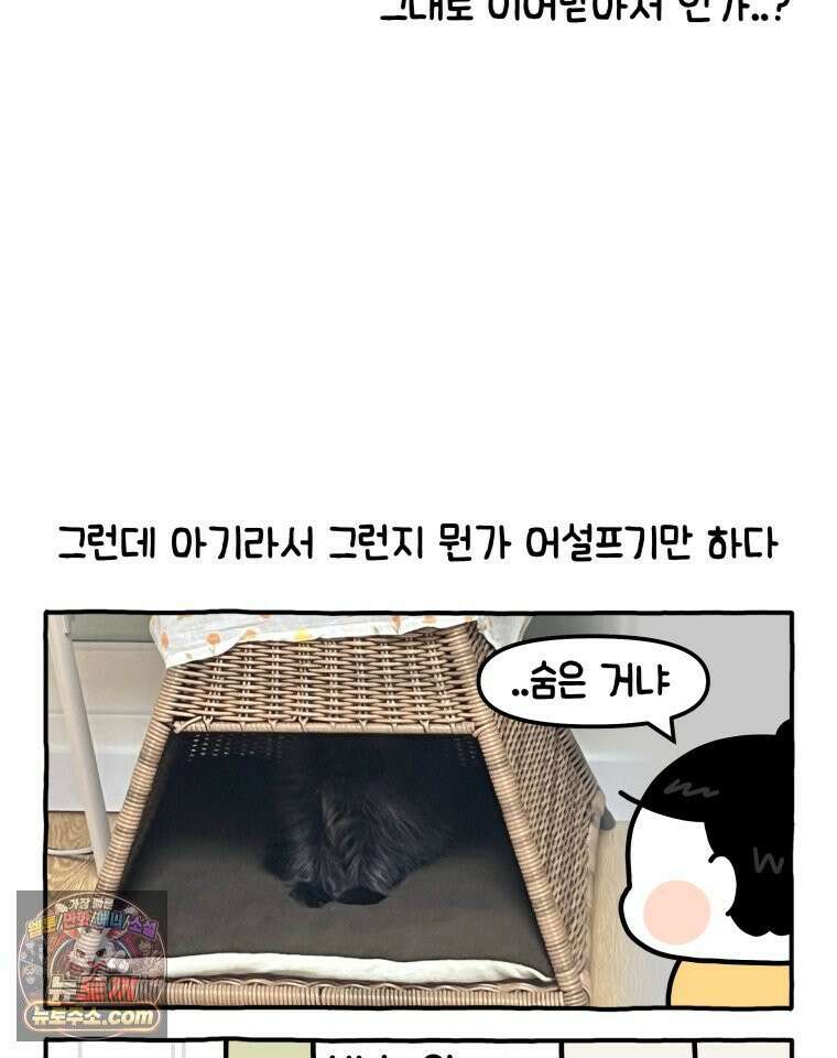 먼지 덩어리 짱덕 6． 고양이의 본능 6