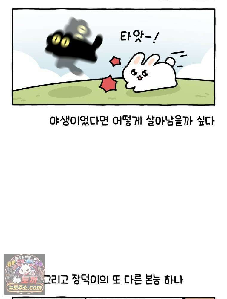 먼지 덩어리 짱덕 6． 고양이의 본능 14