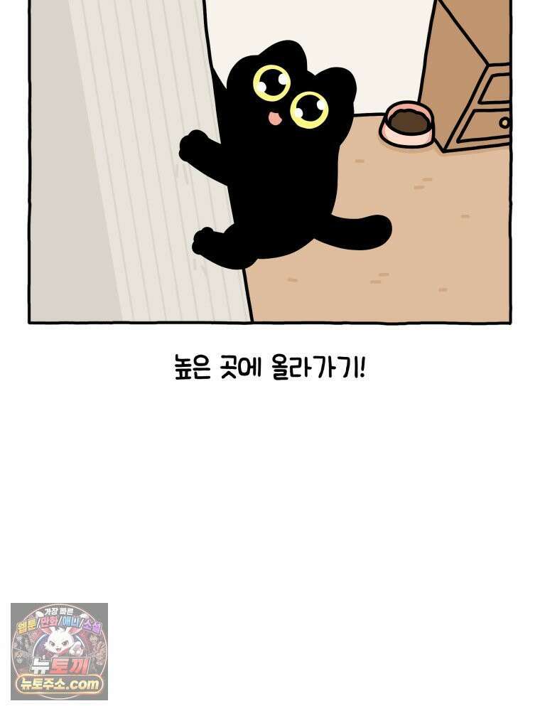 먼지 덩어리 짱덕 6． 고양이의 본능 15