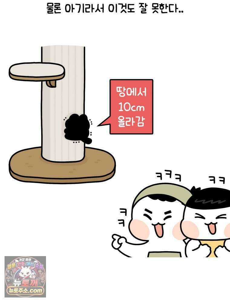 먼지 덩어리 짱덕 6． 고양이의 본능 16