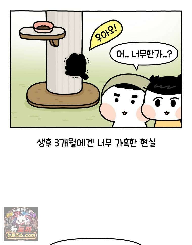 먼지 덩어리 짱덕 6． 고양이의 본능 33
