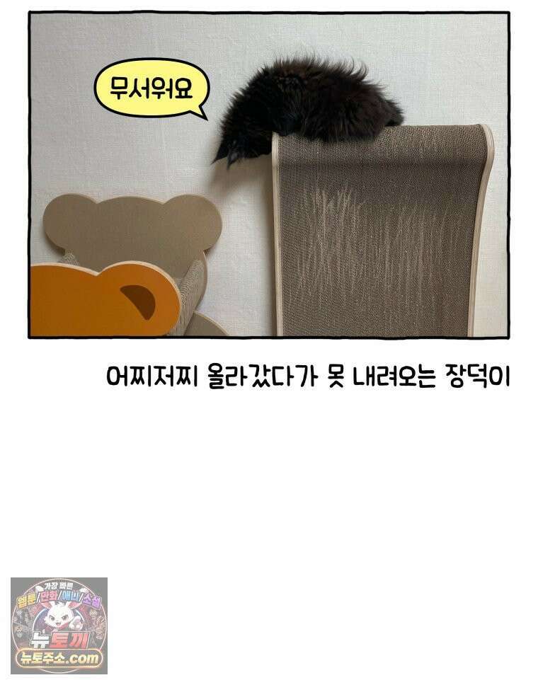 먼지 덩어리 짱덕 6． 고양이의 본능 36