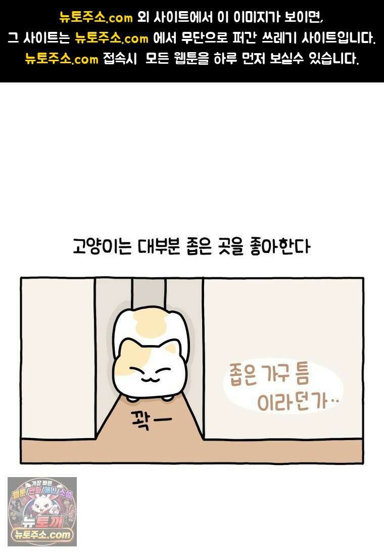 먼지 덩어리 짱덕 13． 좁은 곳이 좋아요 1