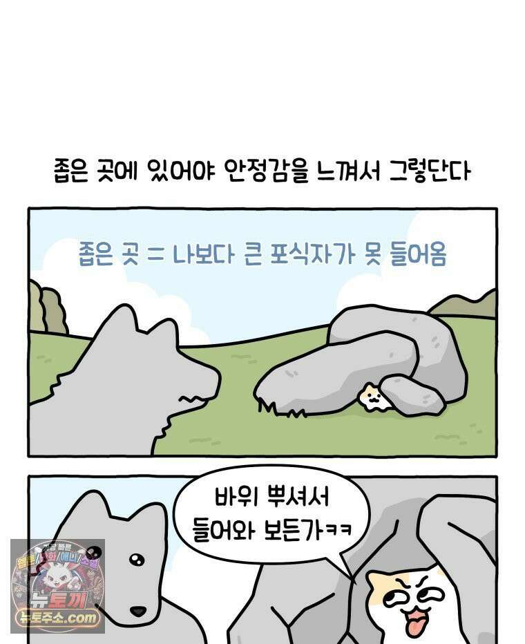 먼지 덩어리 짱덕 13． 좁은 곳이 좋아요 2