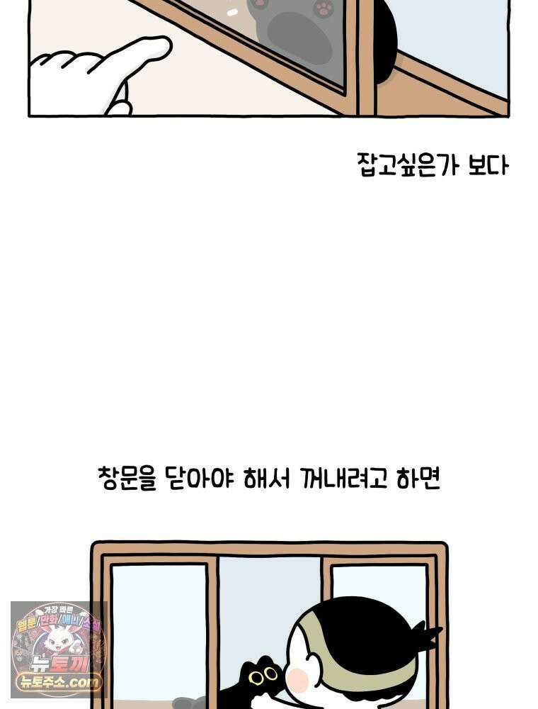 먼지 덩어리 짱덕 13． 좁은 곳이 좋아요 12