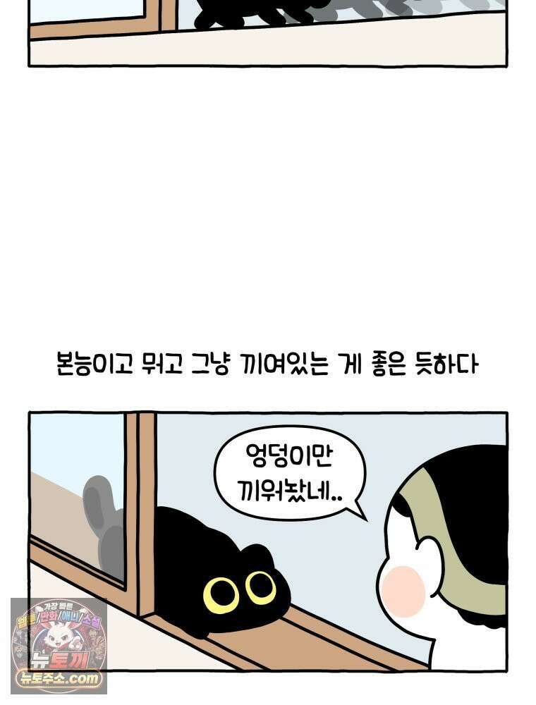 먼지 덩어리 짱덕 13． 좁은 곳이 좋아요 14