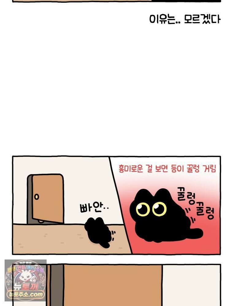 먼지 덩어리 짱덕 13． 좁은 곳이 좋아요 18