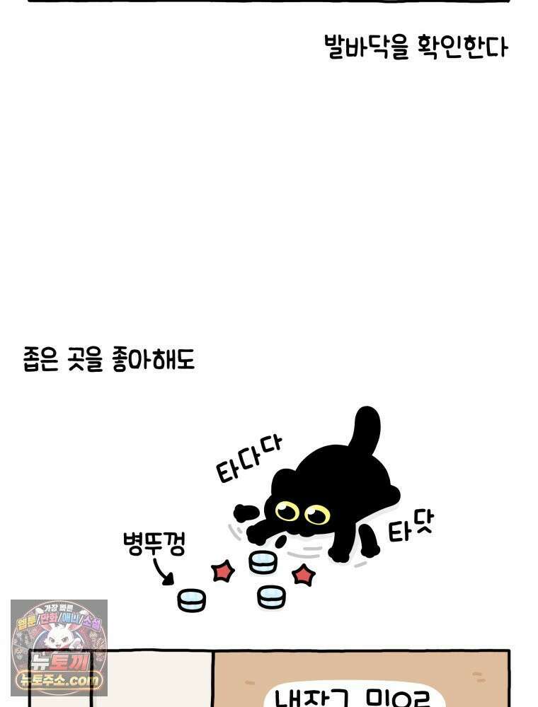먼지 덩어리 짱덕 13． 좁은 곳이 좋아요 22