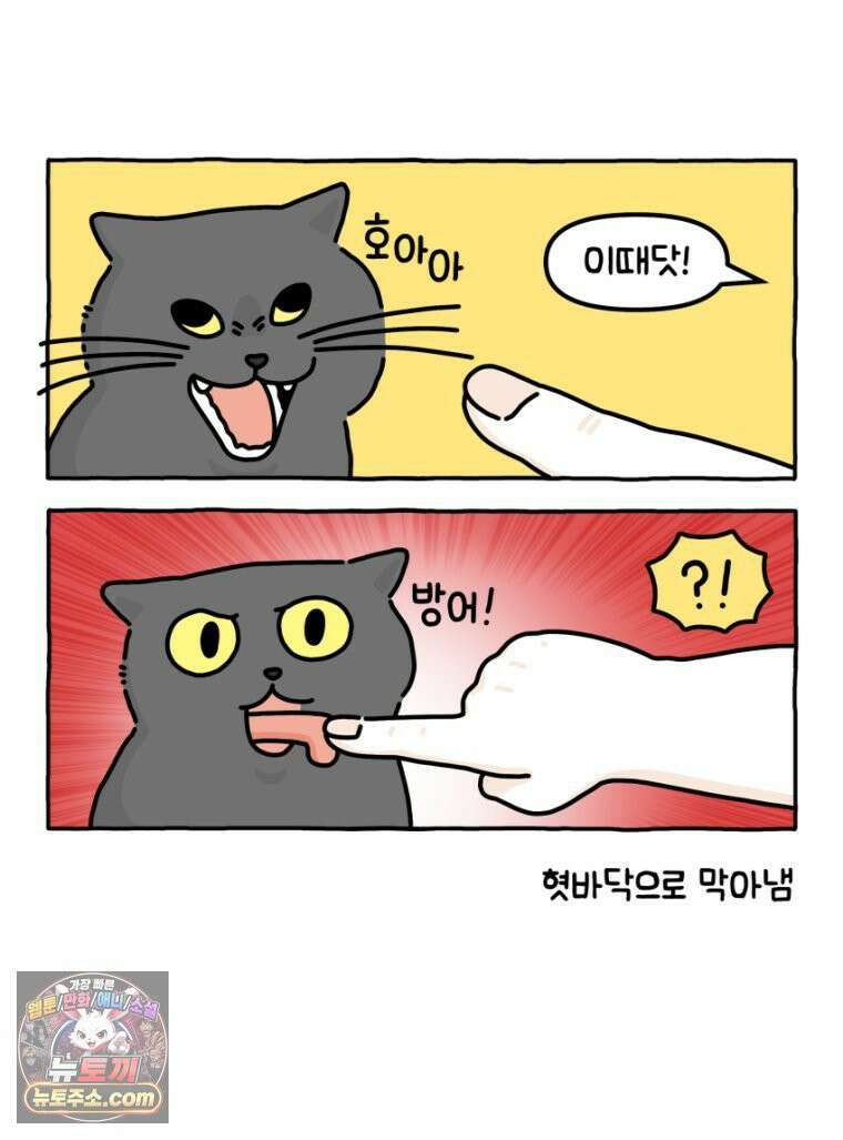 먼지 덩어리 짱덕 21． 철부지 아빠 21