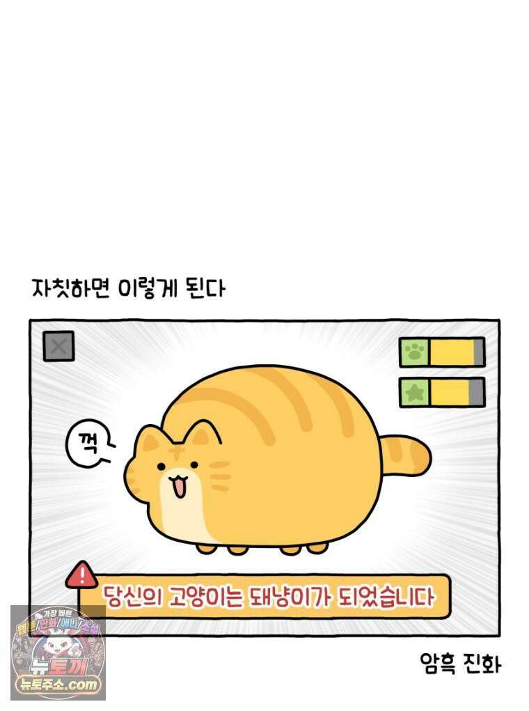 먼지 덩어리 짱덕 28． 자동 급식기 2