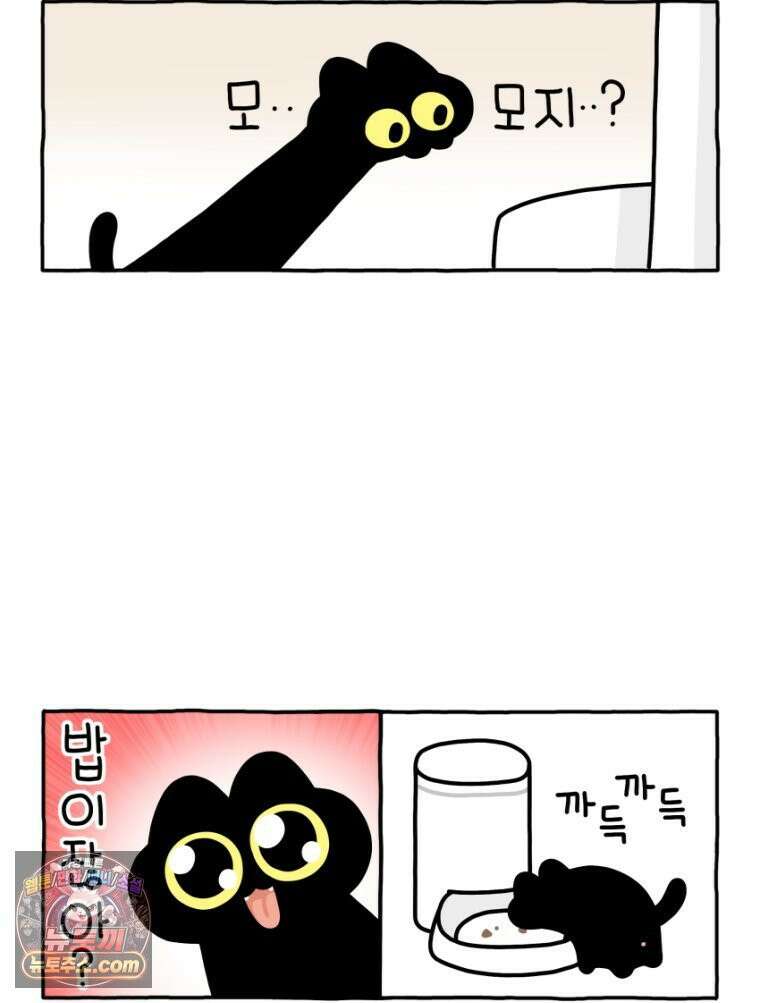 먼지 덩어리 짱덕 28． 자동 급식기 19