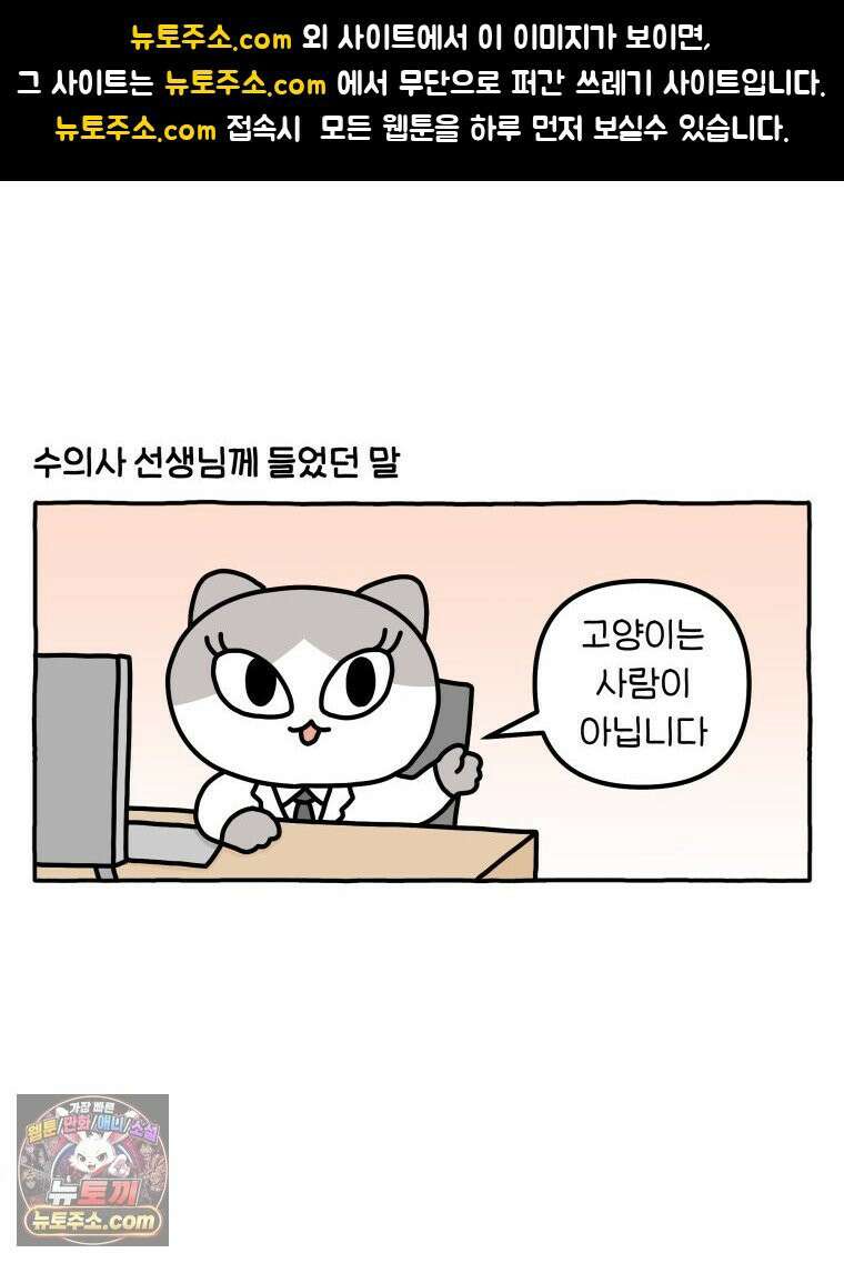 먼지 덩어리 짱덕 48． 환경 풍부화 1 1