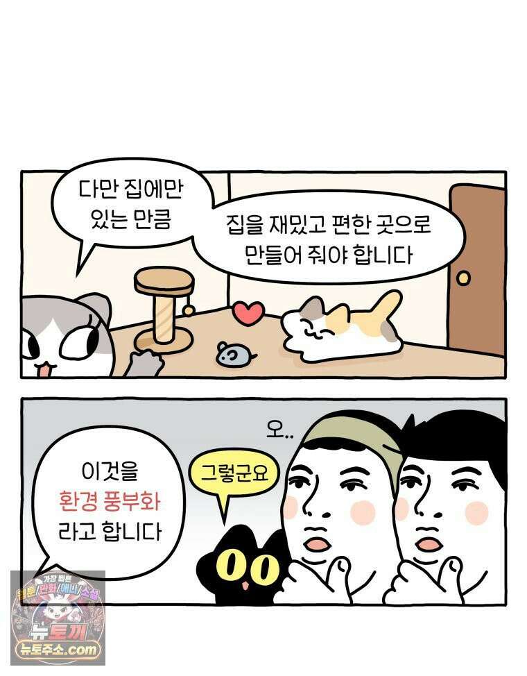 먼지 덩어리 짱덕 48． 환경 풍부화 1 4
