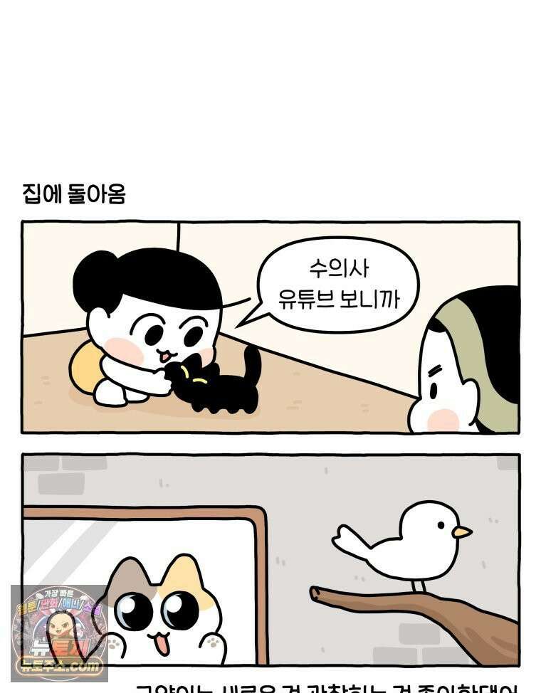먼지 덩어리 짱덕 48． 환경 풍부화 1 6