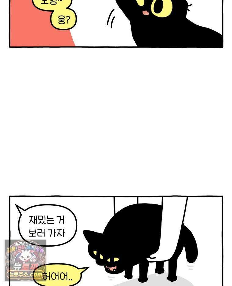 먼지 덩어리 짱덕 48． 환경 풍부화 1 9