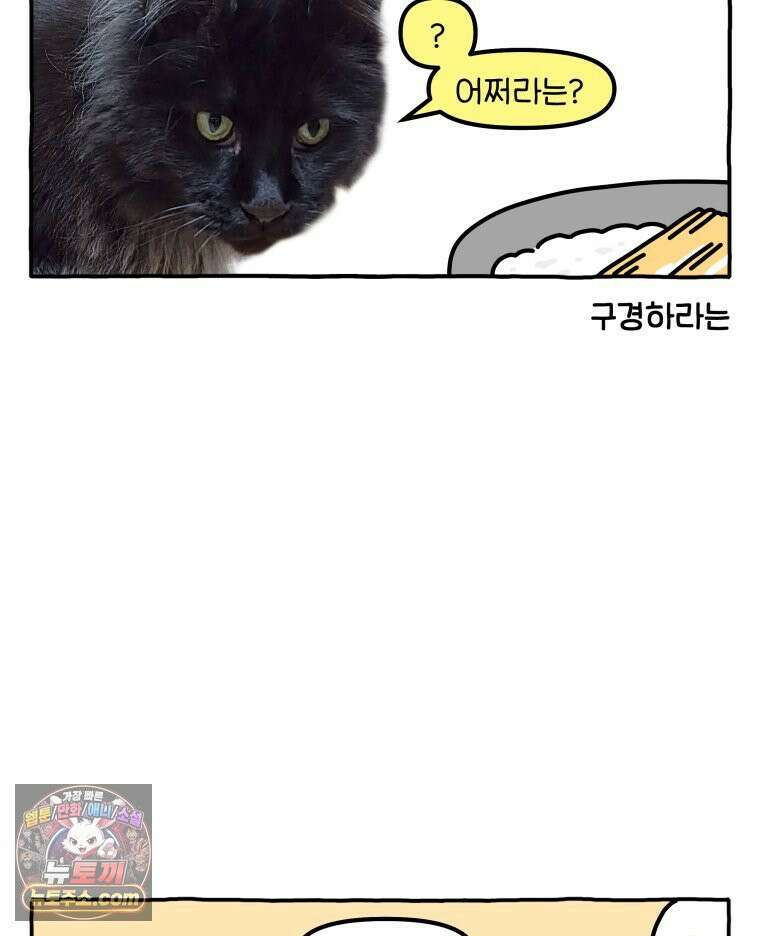 먼지 덩어리 짱덕 48． 환경 풍부화 1 12