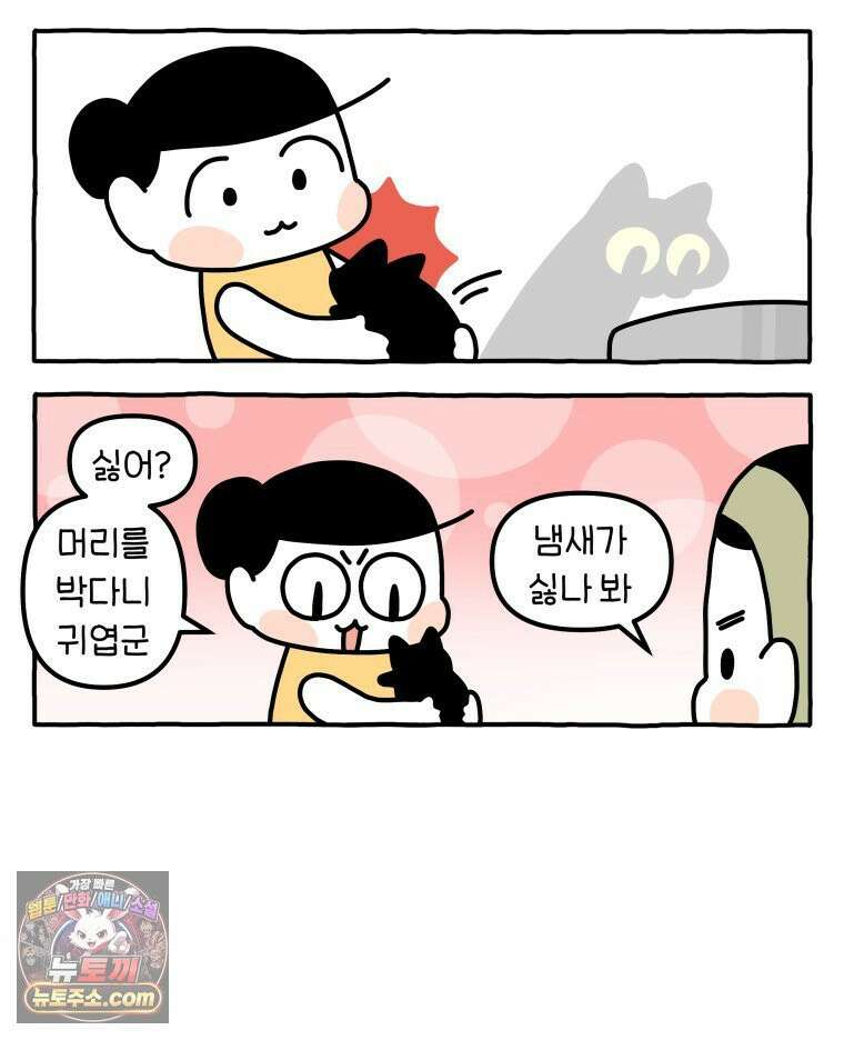 먼지 덩어리 짱덕 48． 환경 풍부화 1 14