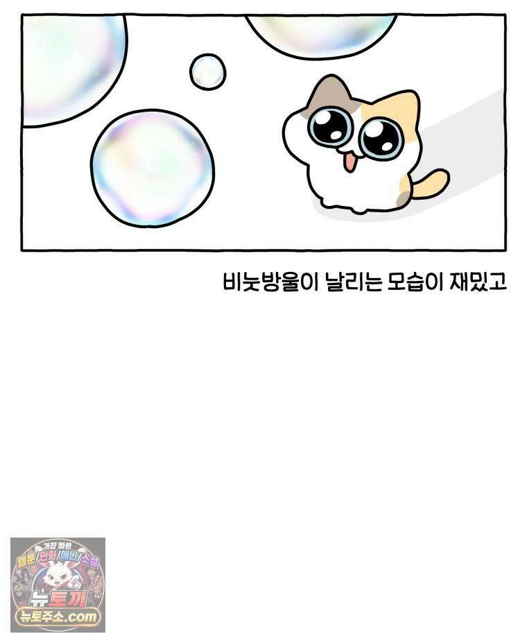 먼지 덩어리 짱덕 48． 환경 풍부화 1 20