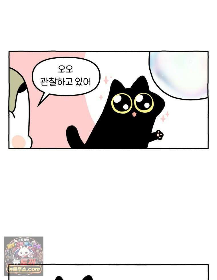 먼지 덩어리 짱덕 48． 환경 풍부화 1 24