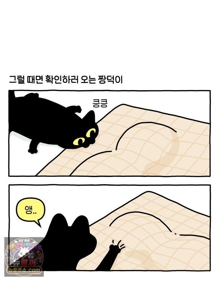 먼지 덩어리 짱덕 53． 웃기는 짱덕이 3