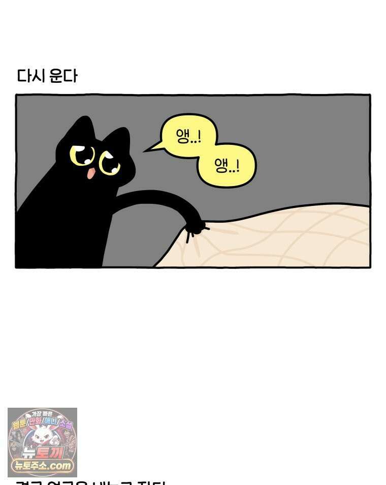 먼지 덩어리 짱덕 53． 웃기는 짱덕이 8