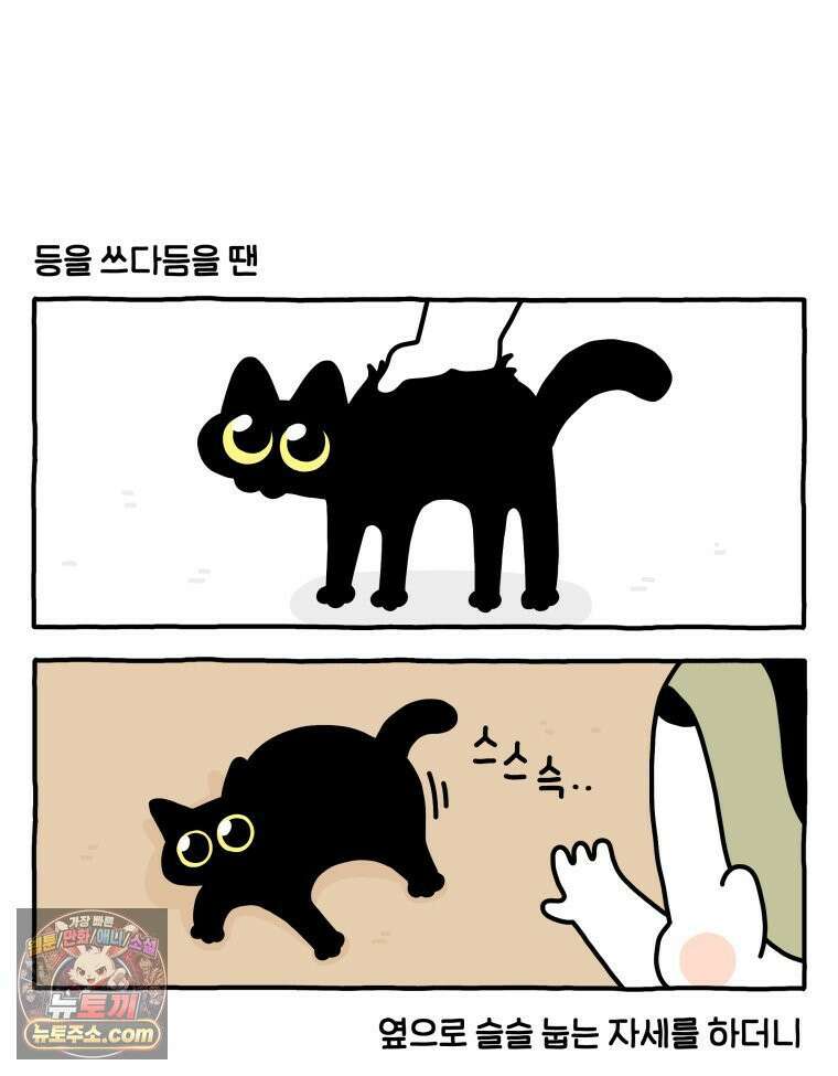 먼지 덩어리 짱덕 53． 웃기는 짱덕이 21
