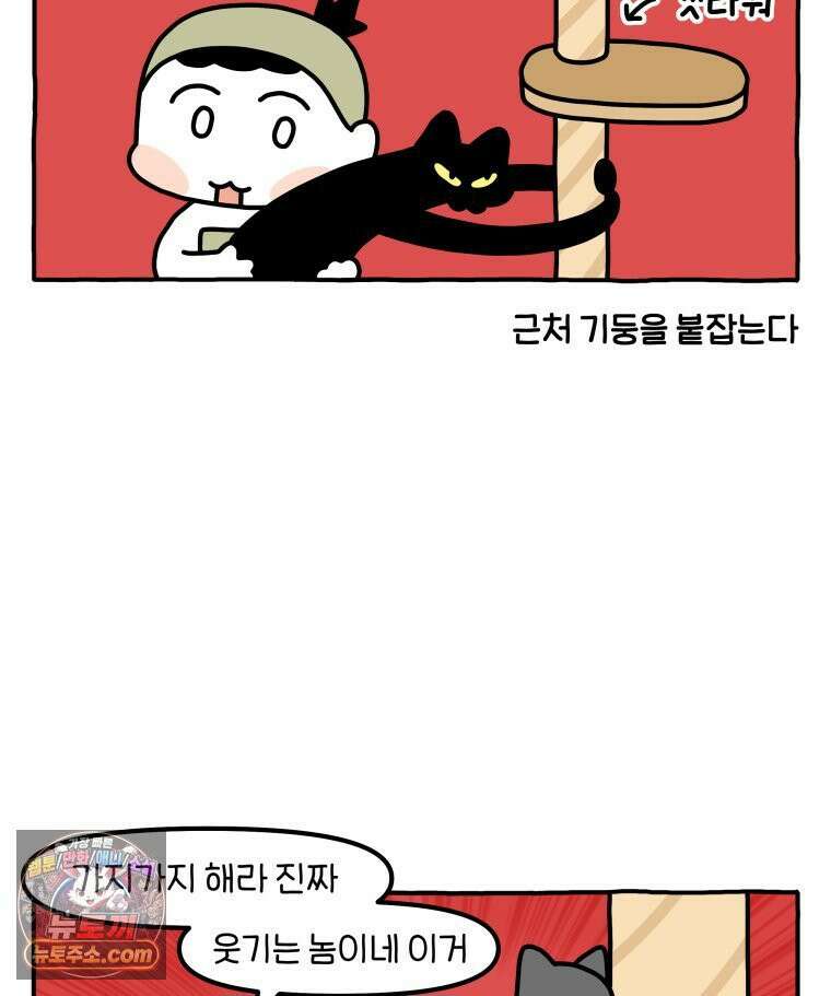 먼지 덩어리 짱덕 53． 웃기는 짱덕이 33