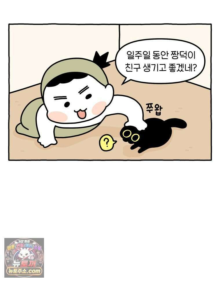 먼지 덩어리 짱덕 63． 고양이 임시보호 4