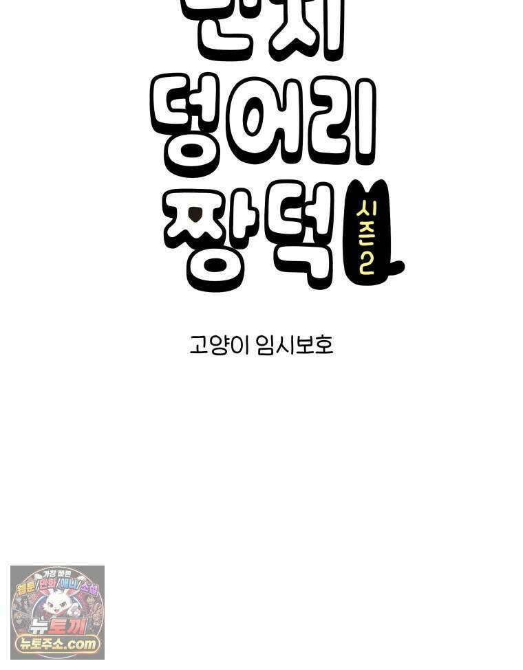 먼지 덩어리 짱덕 63． 고양이 임시보호 7