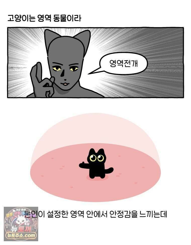먼지 덩어리 짱덕 63． 고양이 임시보호 10