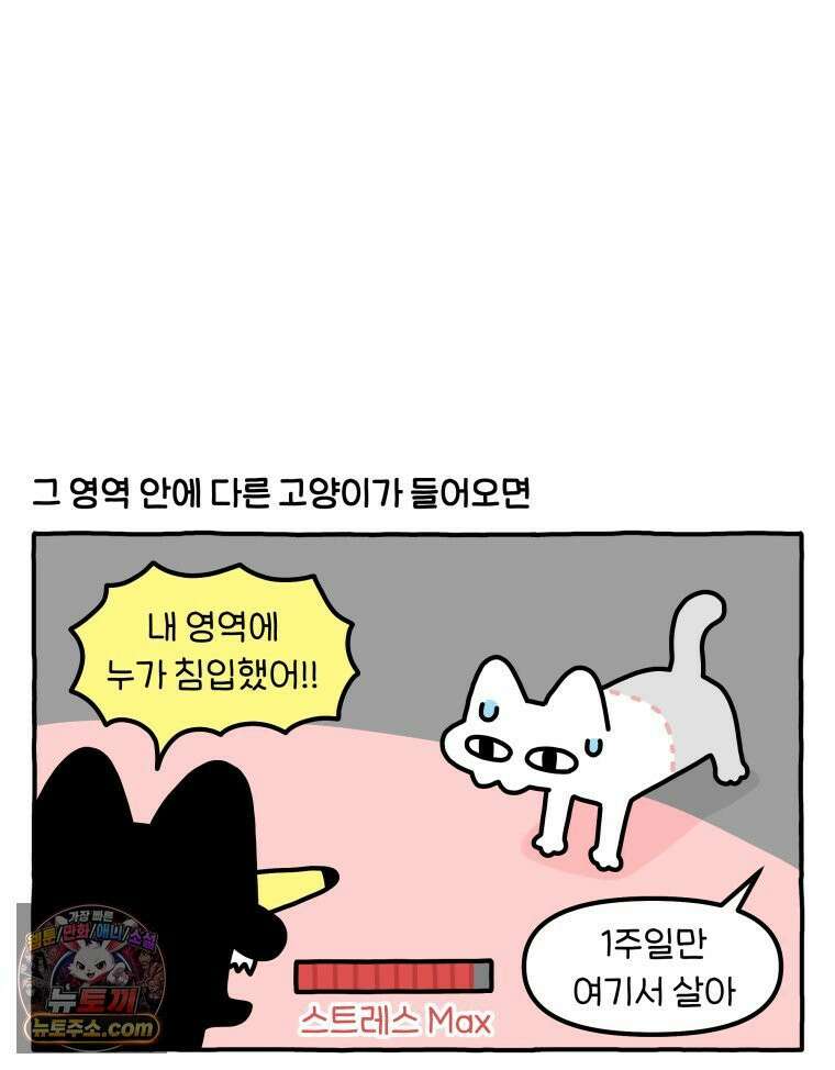 먼지 덩어리 짱덕 63． 고양이 임시보호 11