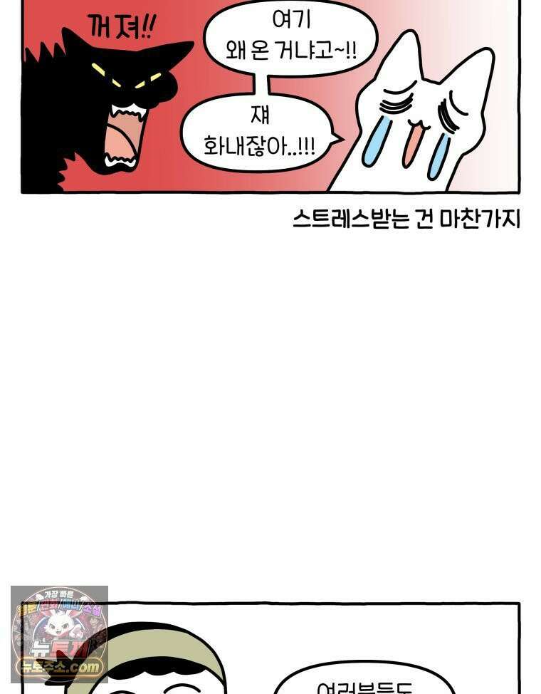 먼지 덩어리 짱덕 63． 고양이 임시보호 13