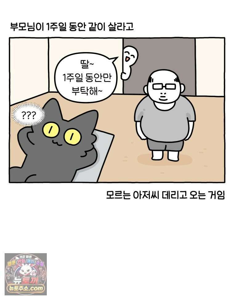 먼지 덩어리 짱덕 63． 고양이 임시보호 15