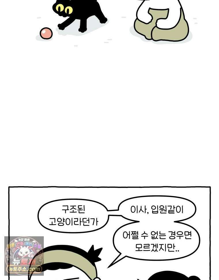 먼지 덩어리 짱덕 63． 고양이 임시보호 19